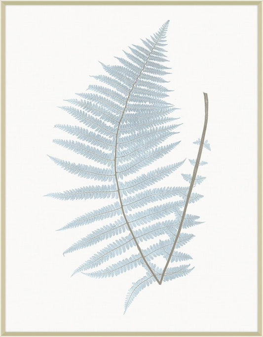 Champagne Still Water Ferns Grande VIII