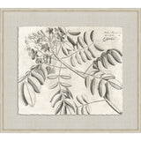 Rheedes Botanicals on Linen II