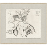 Rheedes Botanicals on Linen III