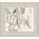 Rheedes Botanicals on Linen IV