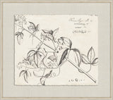 Rheedes Botanicals on Linen VI