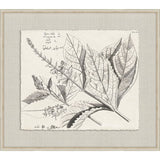 Rheedes Botanicals on Linen VII