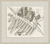 Rheedes Botanicals on Linen VIII