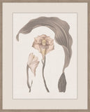 Thoughts of Mary June I