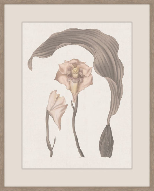 Thoughts of Mary June I