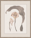 Thoughts of Mary June I