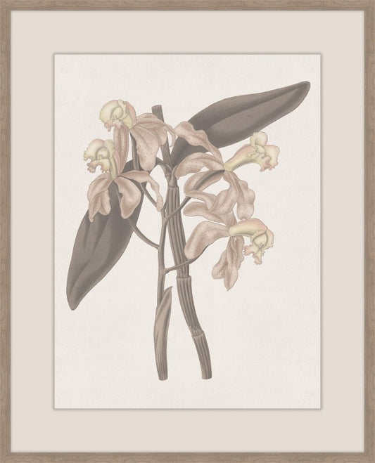 Thoughts of Mary June III