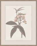 Thoughts of Mary June IV