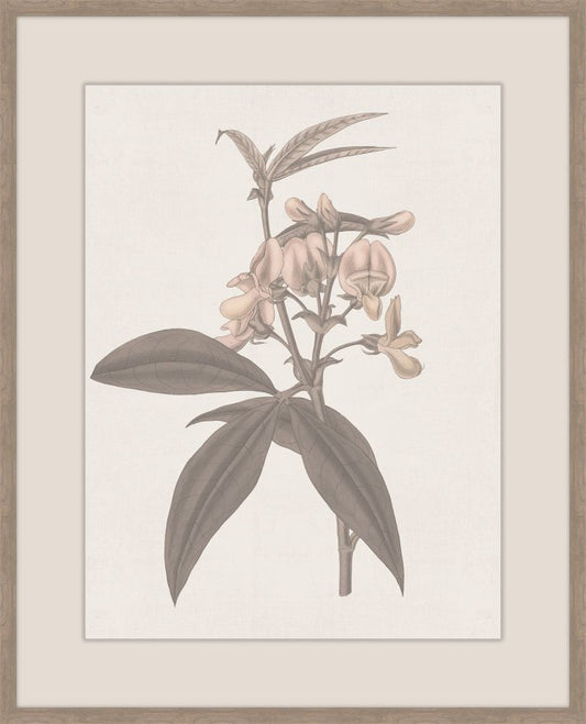 Thoughts of Mary June IV