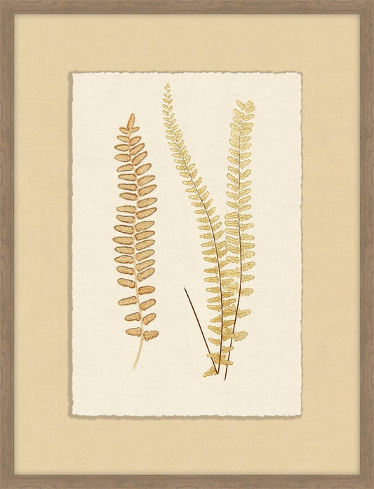 Ferns of Gold I