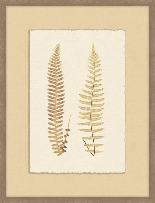 Ferns of Gold II