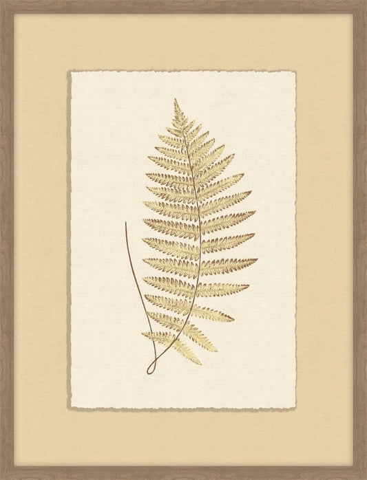 Ferns of Gold IV