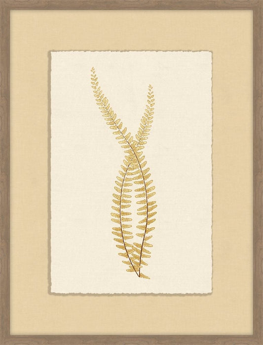 Ferns of Gold VI
