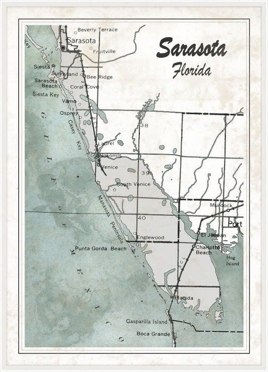 Sarasota Aqua and White