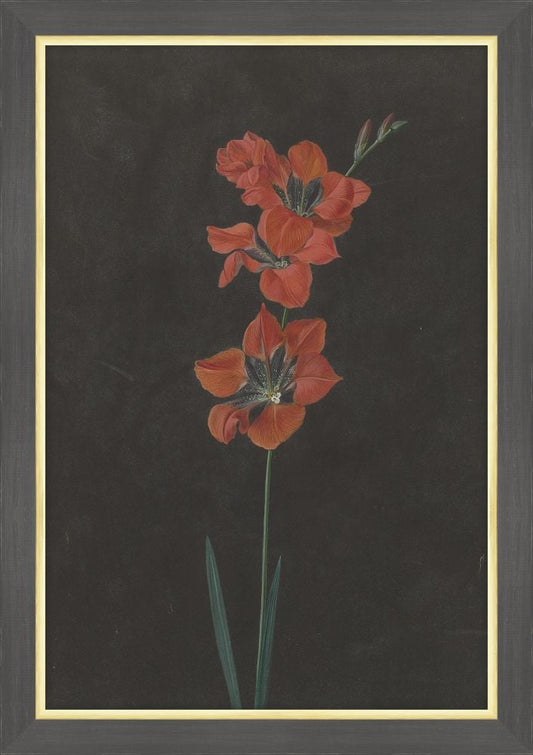 Red Flowers at Midnight I