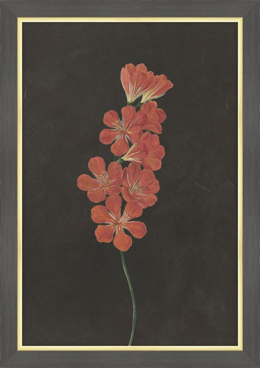 Red Flowers at Midnight II