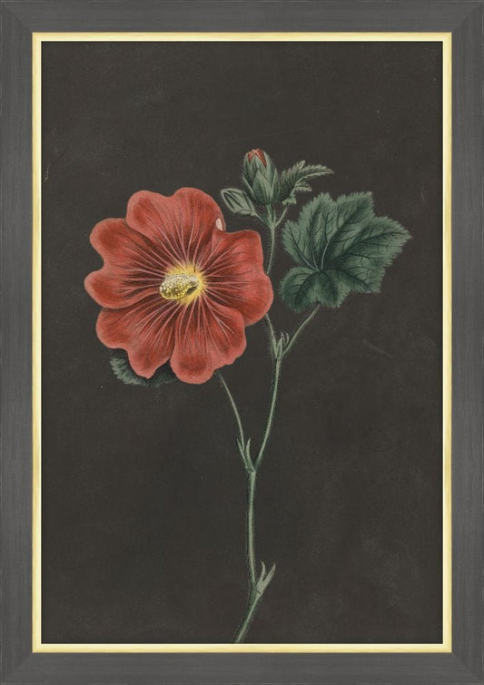 Red Flowers at Midnight V