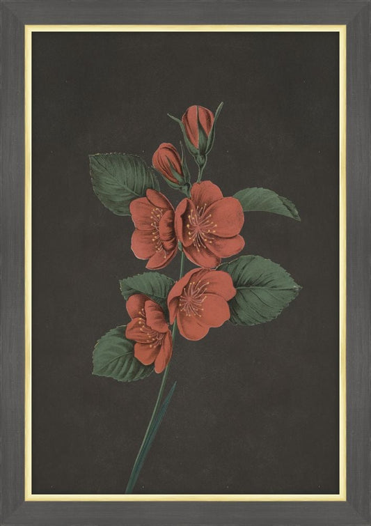 Red Flowers at Midnight VI