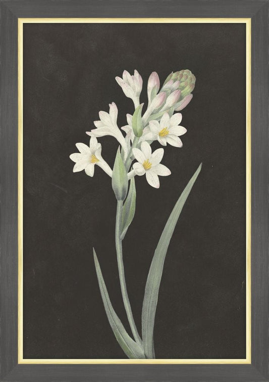 White Flowers at Midnight I