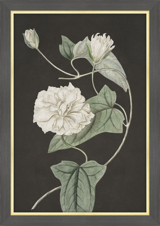 White Flowers at Midnight IV