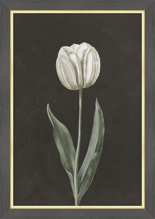 White Flowers at Midnight V