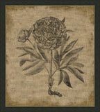 Flora on Linen III