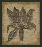 Flora on Linen IV