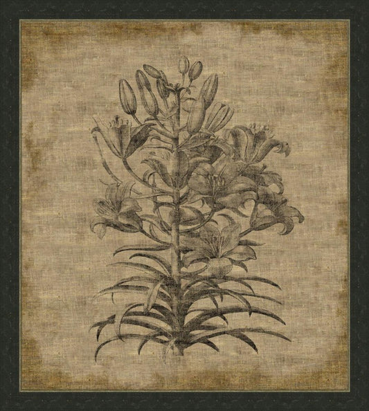 Flora on Linen VI