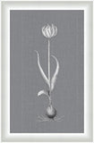 White Flora on Gray Linen IV