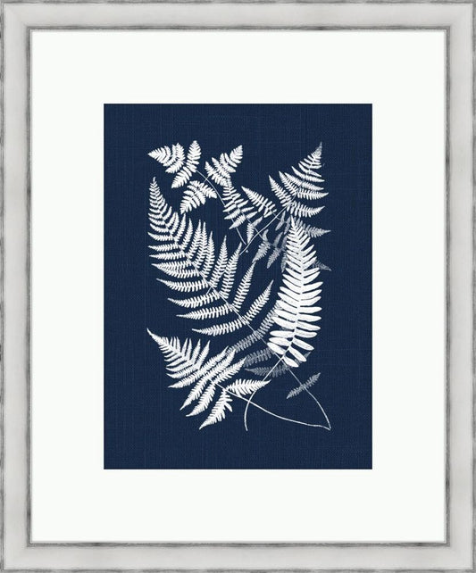 Buckler Ferns on Navy