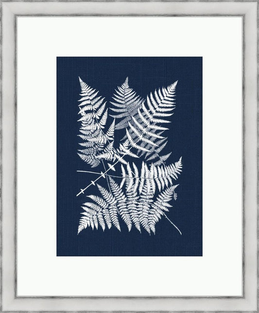 Polypodies Ferns on Navy