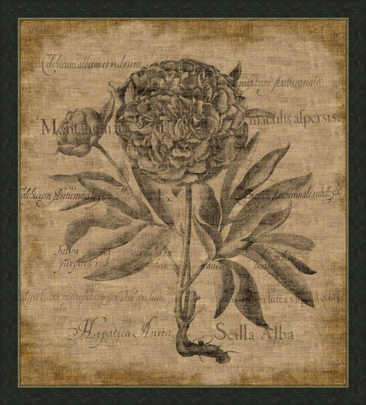 Besslers on Linen with Writing III