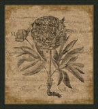 Besslers on Linen with Writing III