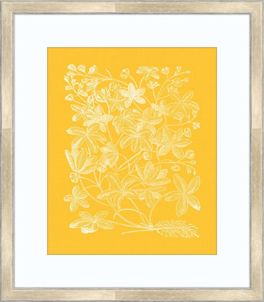 Floral Impression in Daffodil III