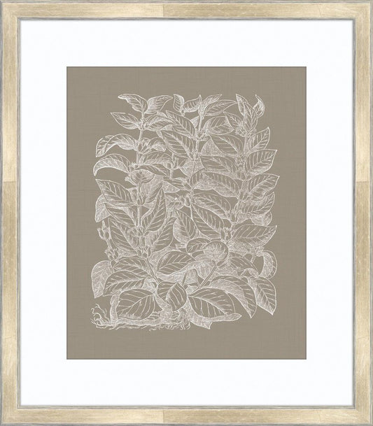 Floral Impressions in Taupe II