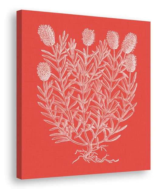 Floral Impressions in Watermelon I (canvas)