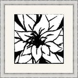 Bloomy Burst Black & White III