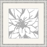 Bloomy Burst Gray II