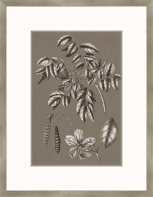 Flora Buchoz in Honey II