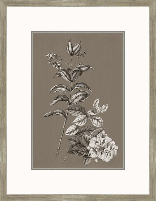 Flora Buchoz in Honey III