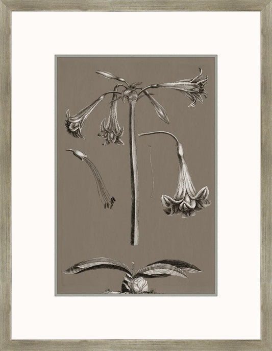 Flora Buchoz in Honey IV