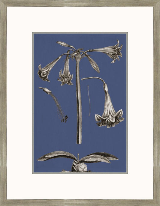 Flora Buchoz in Blue IV