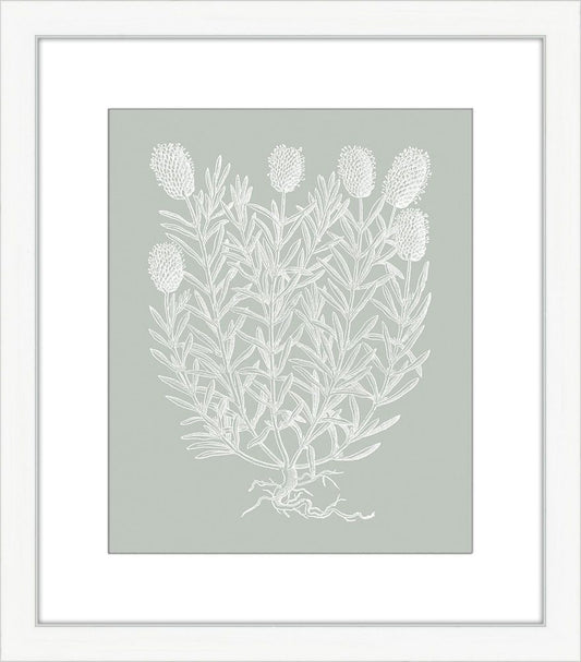 Floral Impression in Sage I