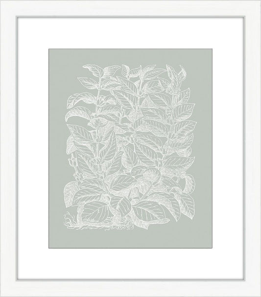 Floral Impression in Sage II
