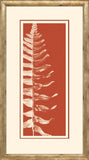 Fern Panel II Red