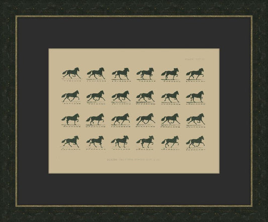 Muybridge Riders III