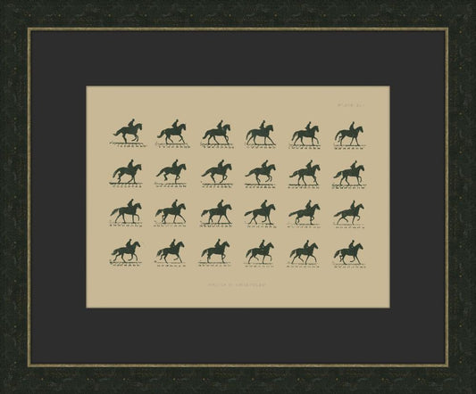 Muybridge Riders IV