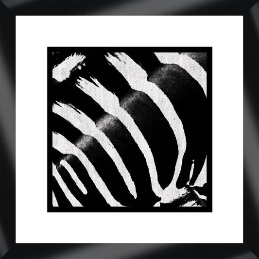 Zebra I