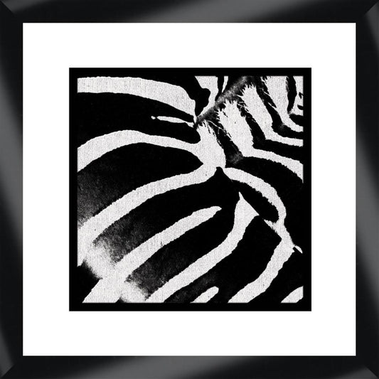 Zebra II