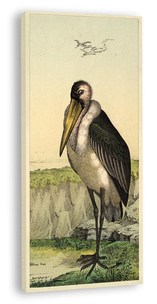 Birds in the Marsh (Canvas)